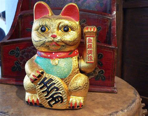 lucky cat photo